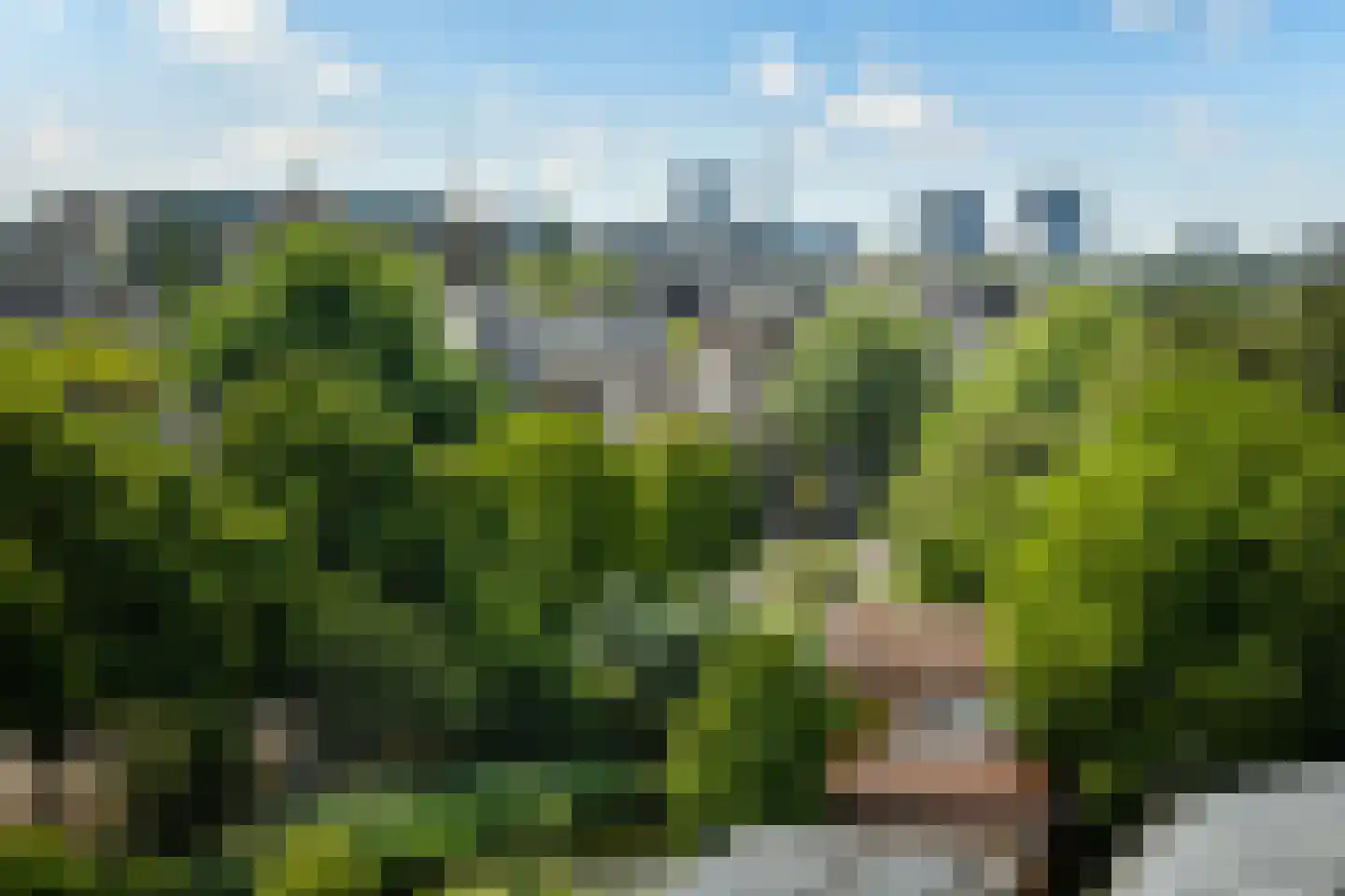 Entrepotdok 196 Amsterdam thumbnail 8