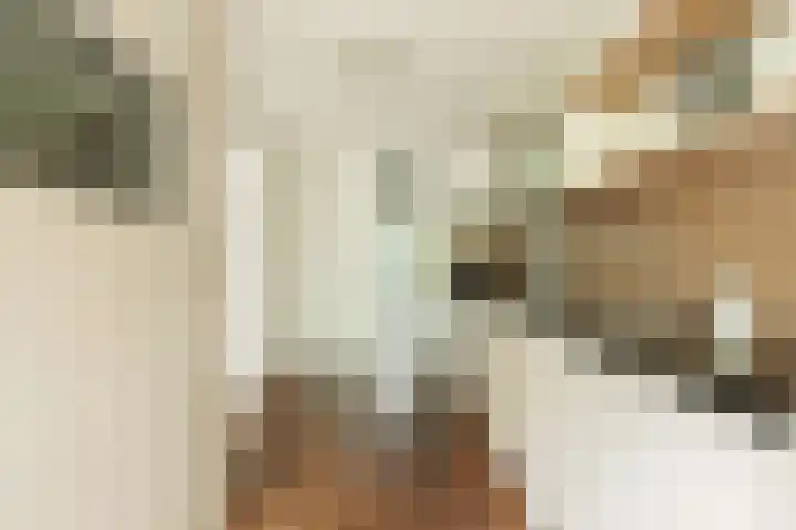 Entrepotdok 210 Amsterdam thumbnail 14