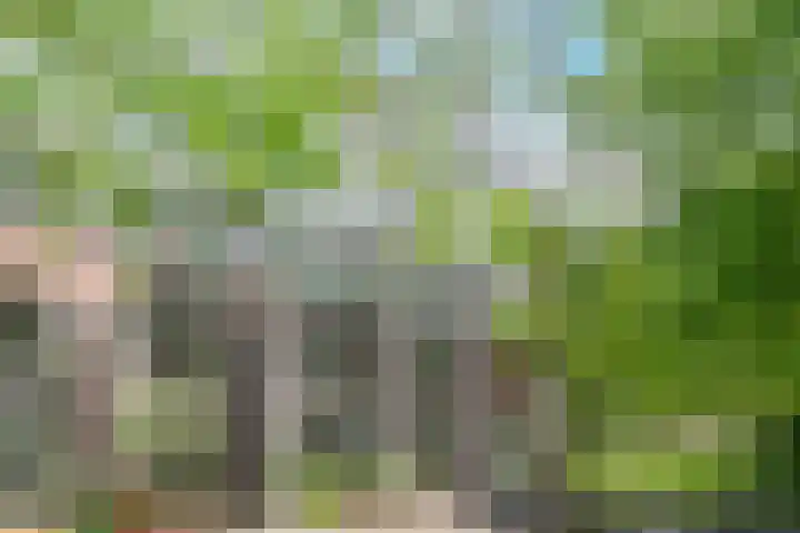Entrepotdok 210 Amsterdam thumbnail 38