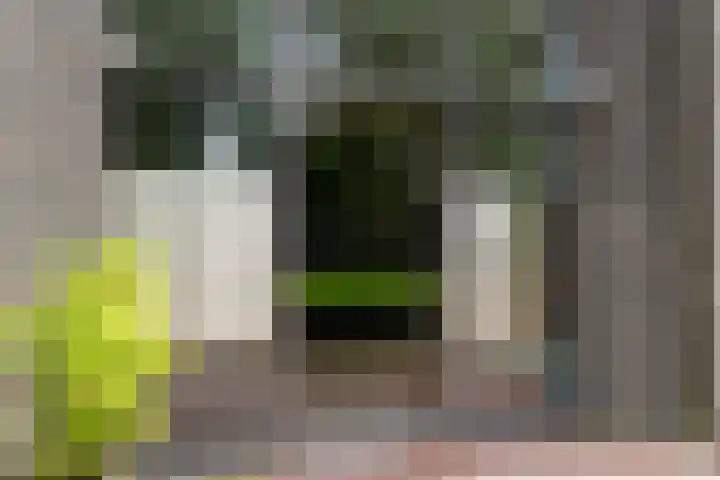 Entrepotdok 210 Amsterdam thumbnail 39