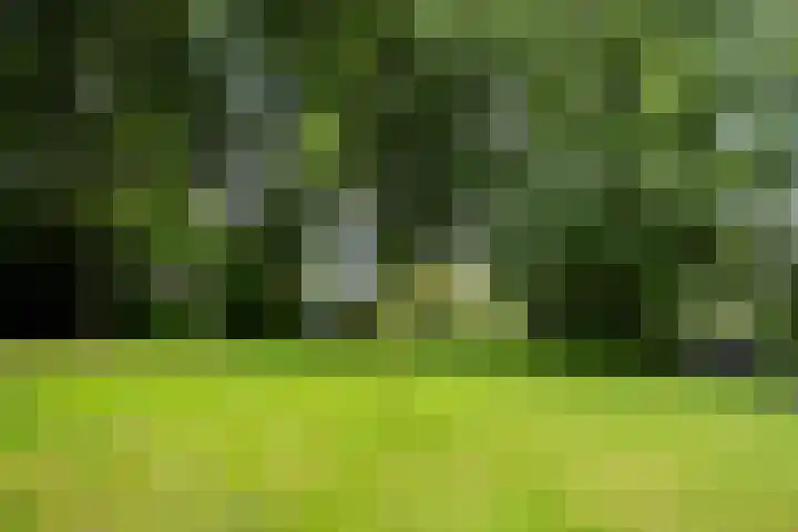 Entrepotdok 210 Amsterdam thumbnail 40