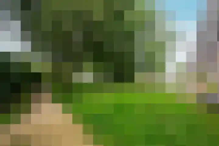 Entrepotdok 210 Amsterdam thumbnail 41