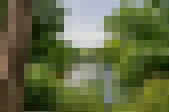 Entrepotdok 210 Amsterdam thumbnail 46