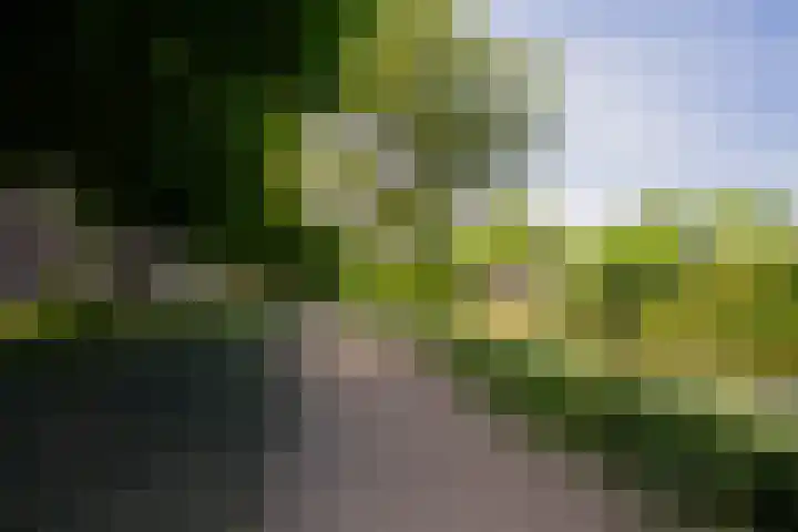 Entrepotdok 210 Amsterdam thumbnail 47