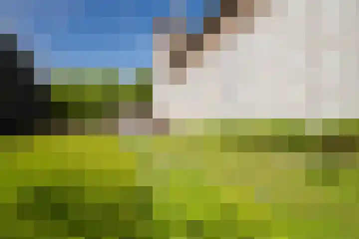 Entrepotdok 210 Amsterdam thumbnail 50