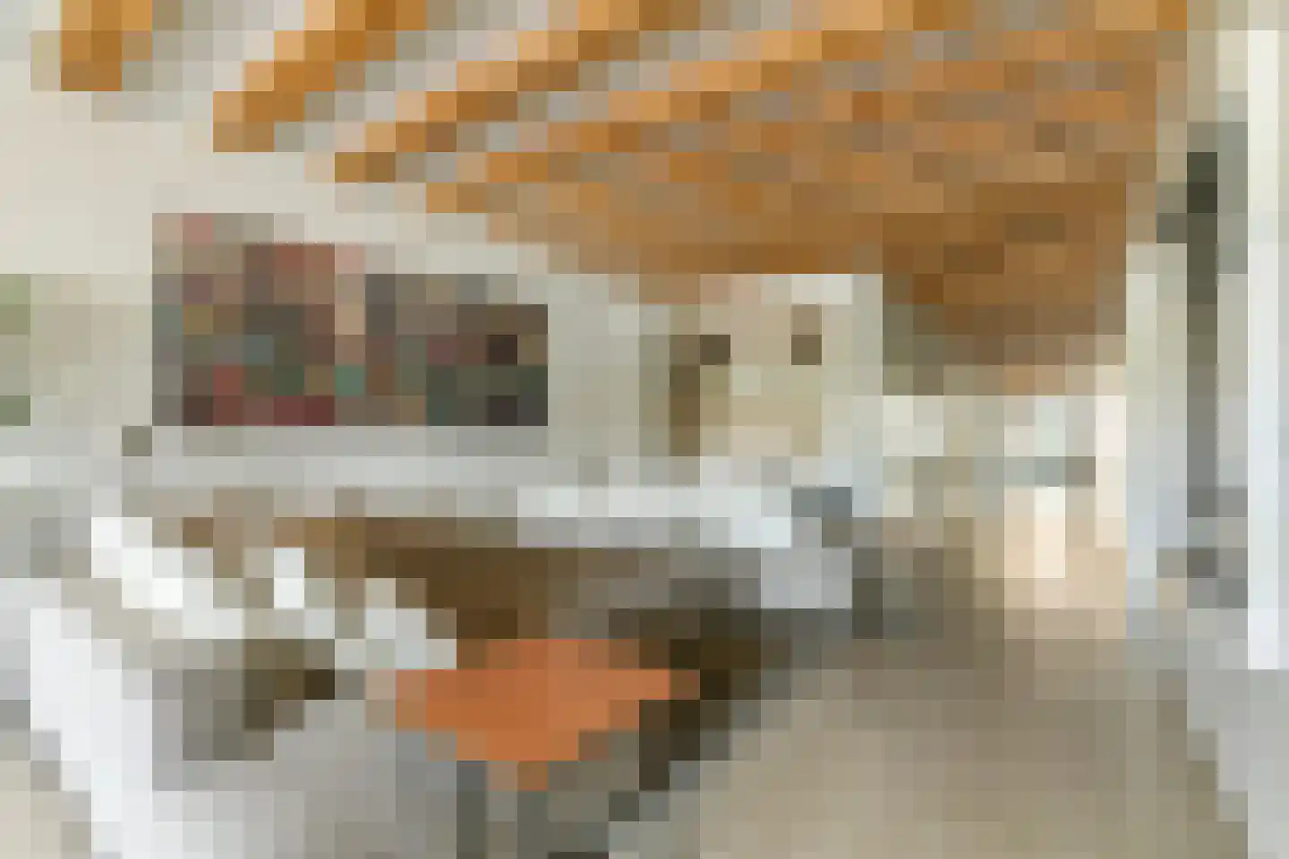 Entrepotdok 33 Amsterdam thumbnail 20