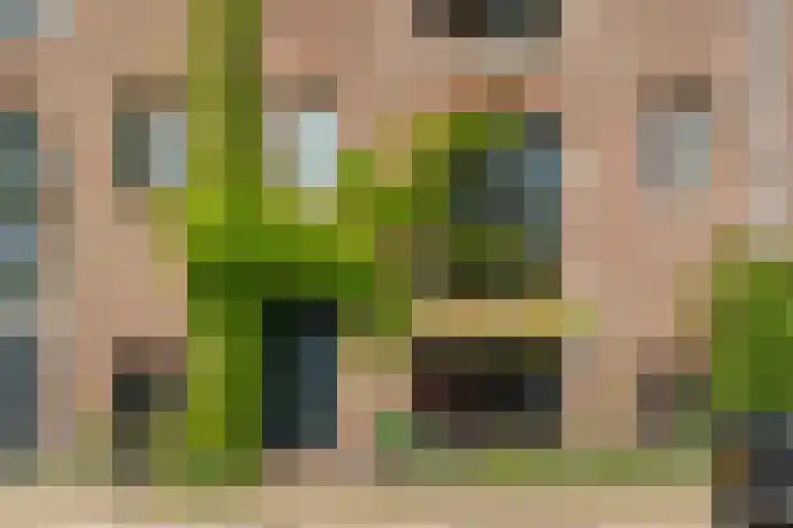 Entrepotdok 83 A Amsterdam thumbnail 9