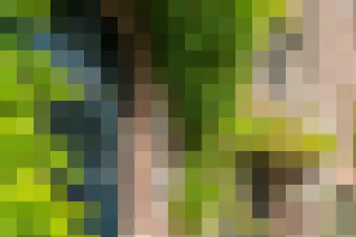 Entrepotdok 83 Amsterdam thumbnail 4