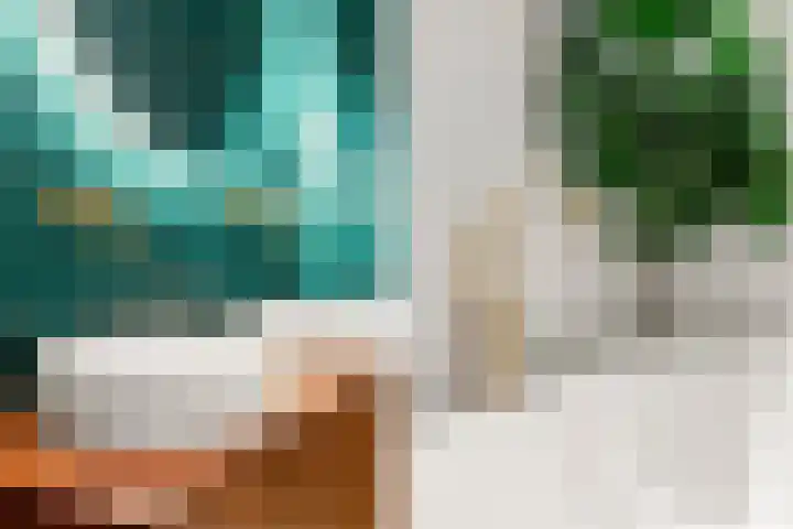 Entrepotdok 83 Amsterdam thumbnail 41