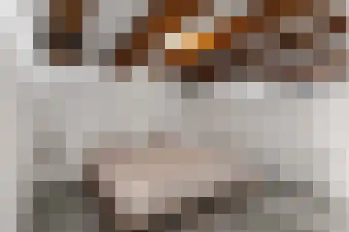 Entrepotdok 83 Amsterdam thumbnail 77