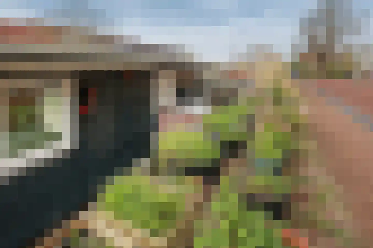 Entrepotdok 92 S Amsterdam thumbnail 32