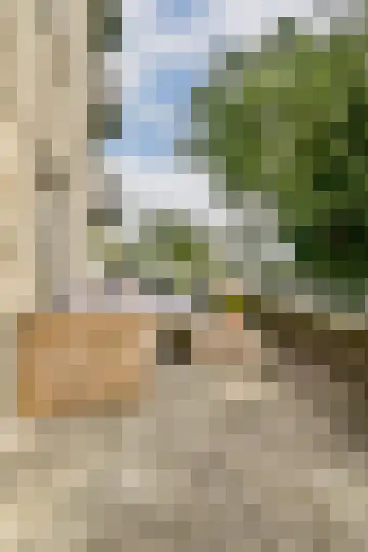 Entrepothof 28 Amsterdam thumbnail 13