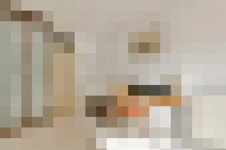 Entrepothof 28 Amsterdam thumbnail 16
