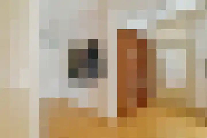 Entrepothof 28 Amsterdam thumbnail 19