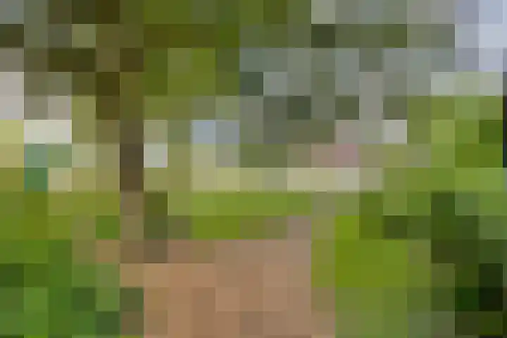 Entrepothof 28 Amsterdam thumbnail 21