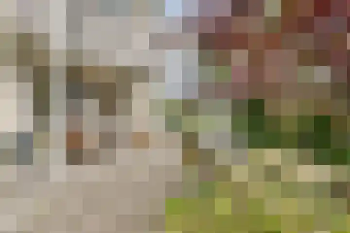 Entrepothof 28 Amsterdam thumbnail 4