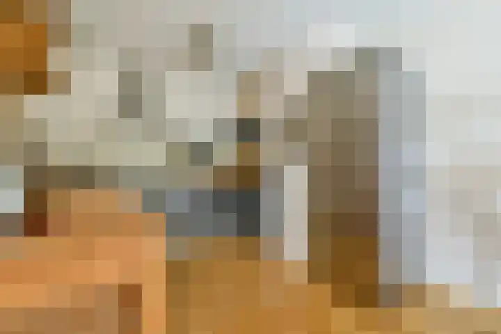 Entrepothof 28 Amsterdam thumbnail 8