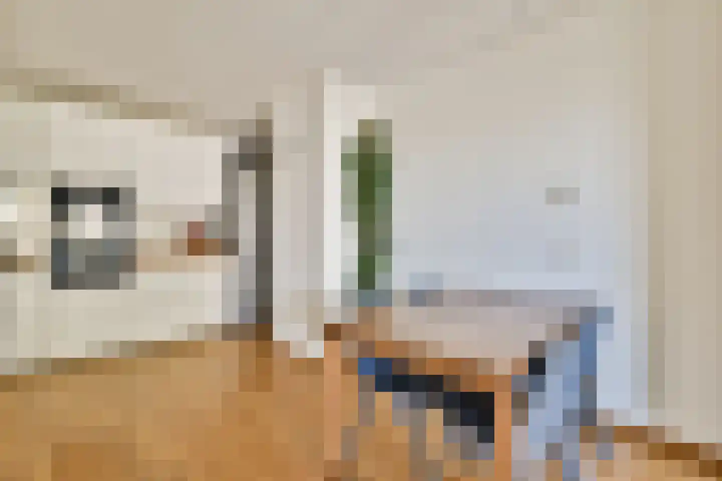 Entrepothof 34 Amsterdam thumbnail 6