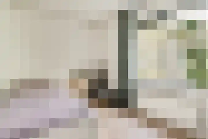 Entrepothof 76 Amsterdam thumbnail 17