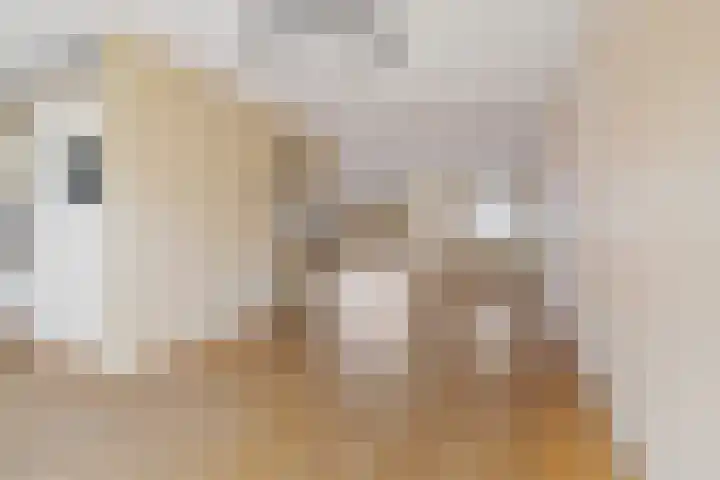 Entstraat 4 Oudenbosch thumbnail 13