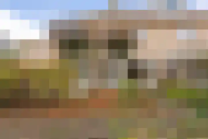 Entstraat 4 Oudenbosch thumbnail 46