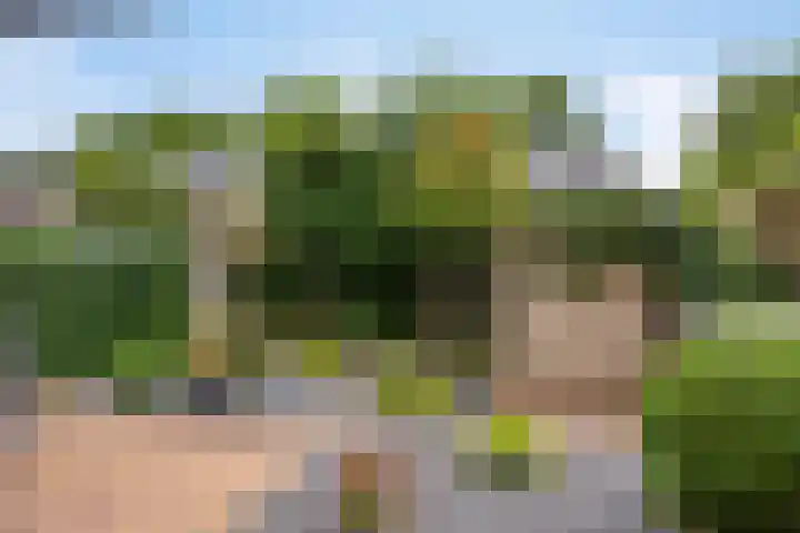 Entweg 15 Hengelo (Gld) thumbnail 31