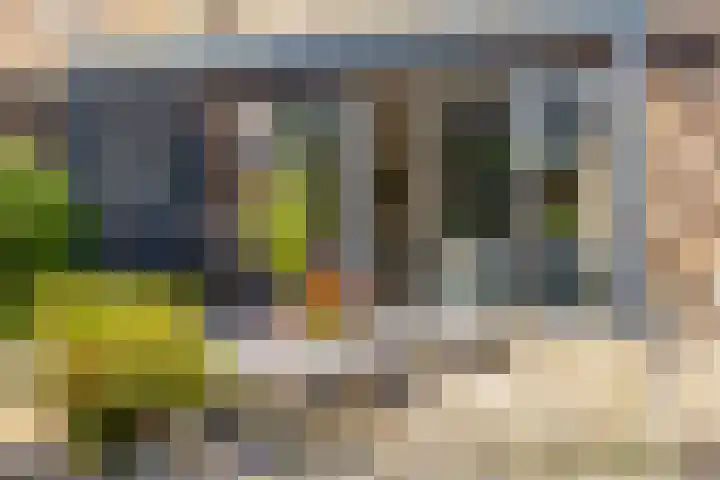 Entweg 15 Hengelo (Gld) thumbnail 32