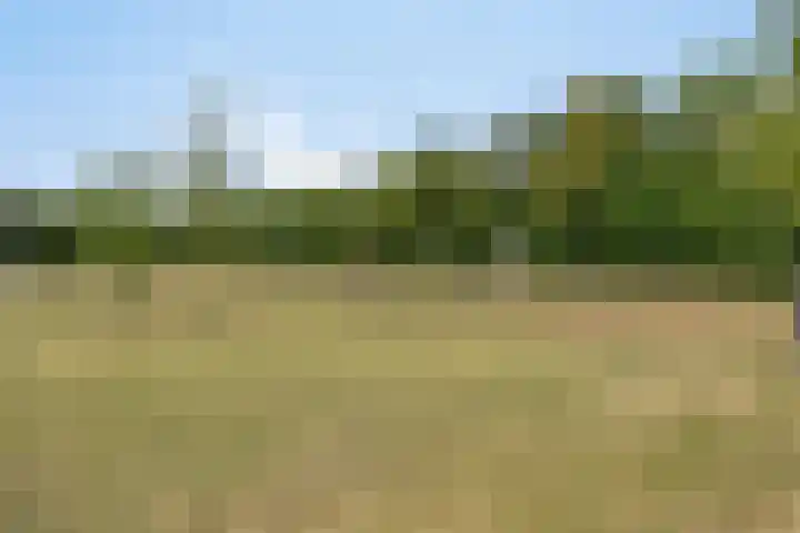 Entweg 15 Hengelo (Gld) thumbnail 34