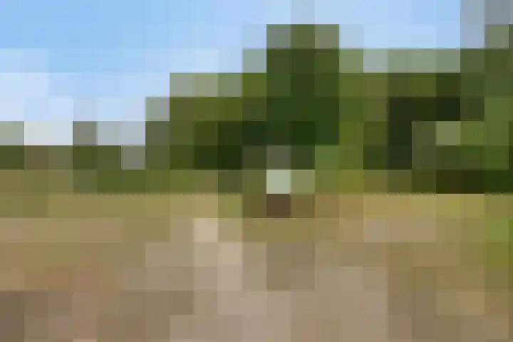 Entweg 15 Hengelo (Gld) thumbnail 35