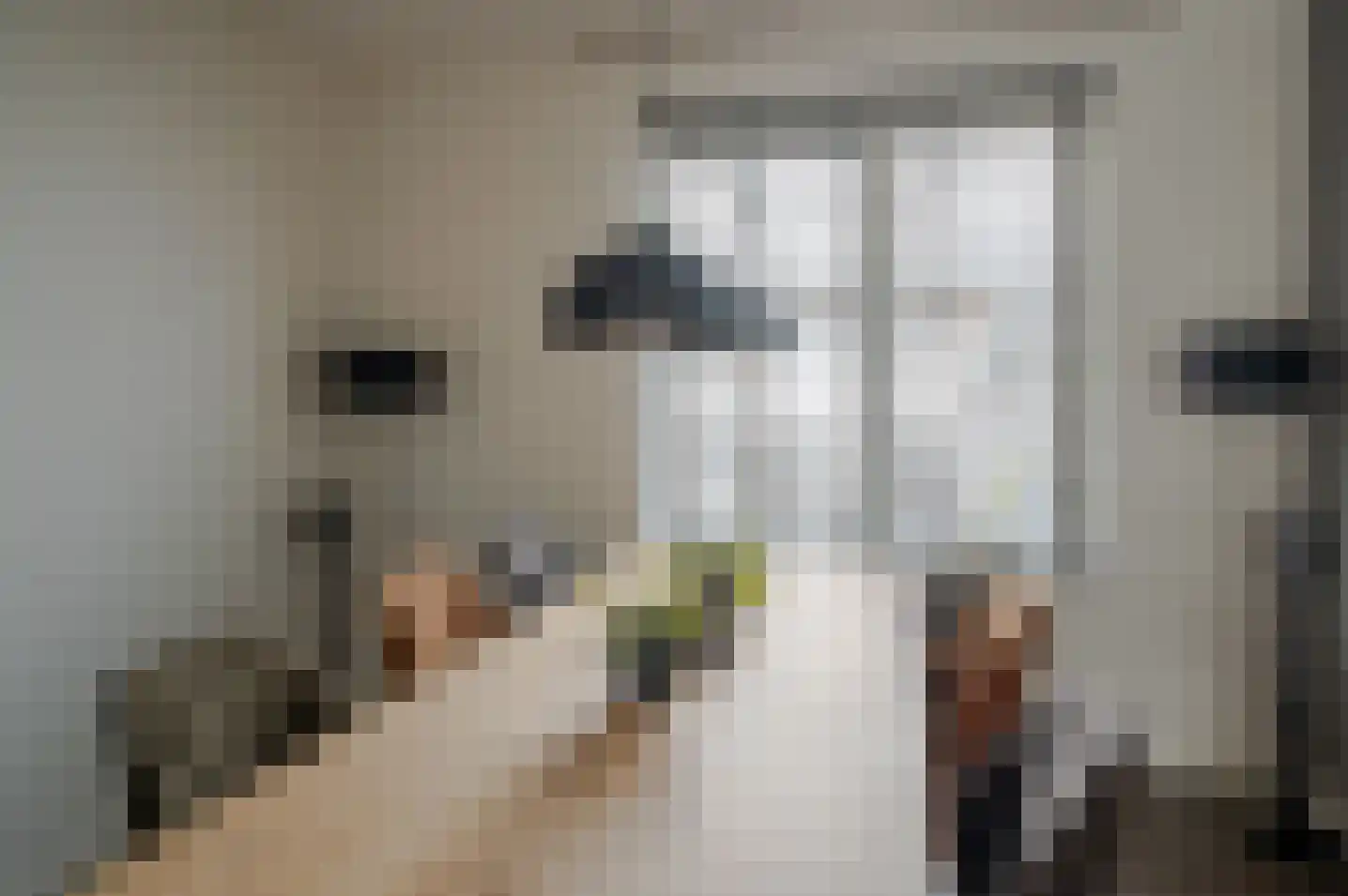 Entweg 16 Hengelo (Gld) thumbnail 19