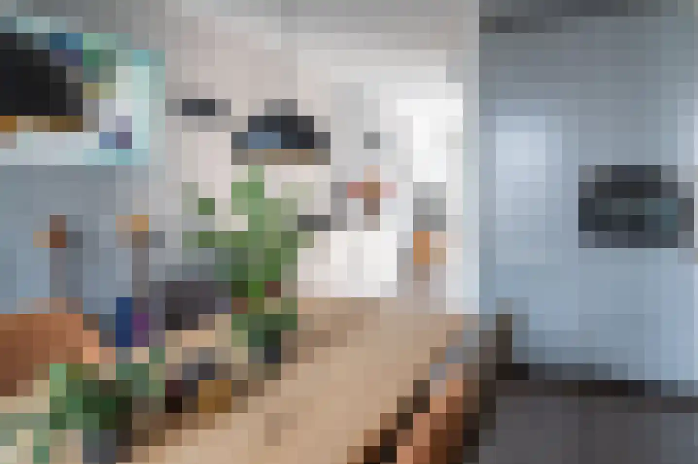 Entweg 16 Hengelo (Gld) thumbnail 22