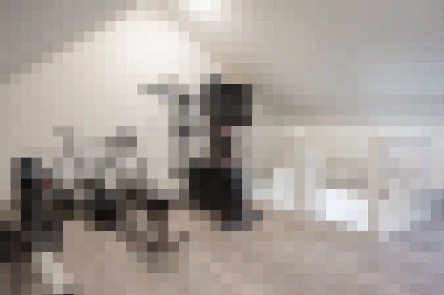 Entweg 16 Hengelo (Gld) thumbnail 36