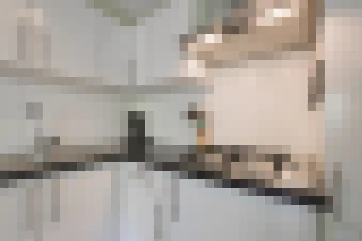 Enzerinckweg 12 295 Vorden thumbnail 11