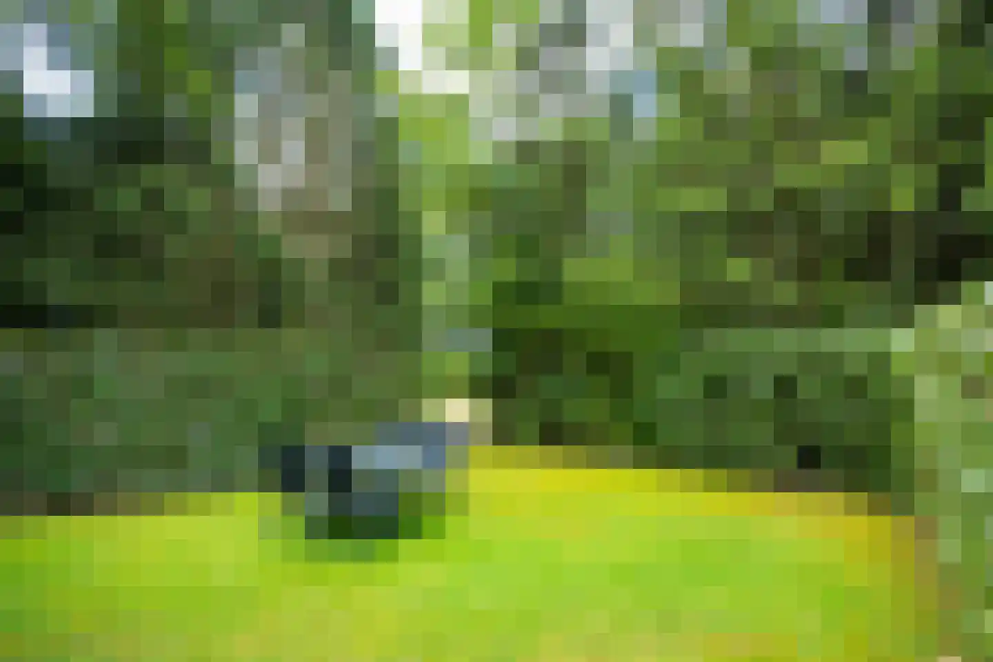 Enzerinckweg 12 295 Vorden thumbnail 29