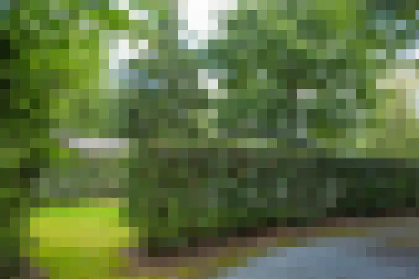 Enzerinckweg 12 295 Vorden thumbnail 30
