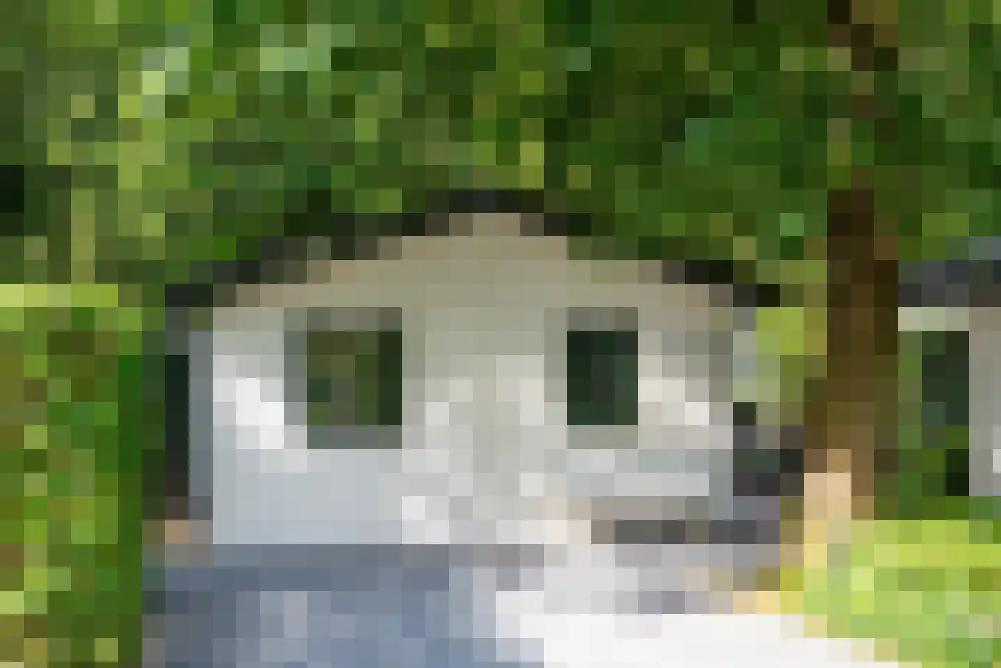 Enzerinckweg 12 295 Vorden thumbnail 32