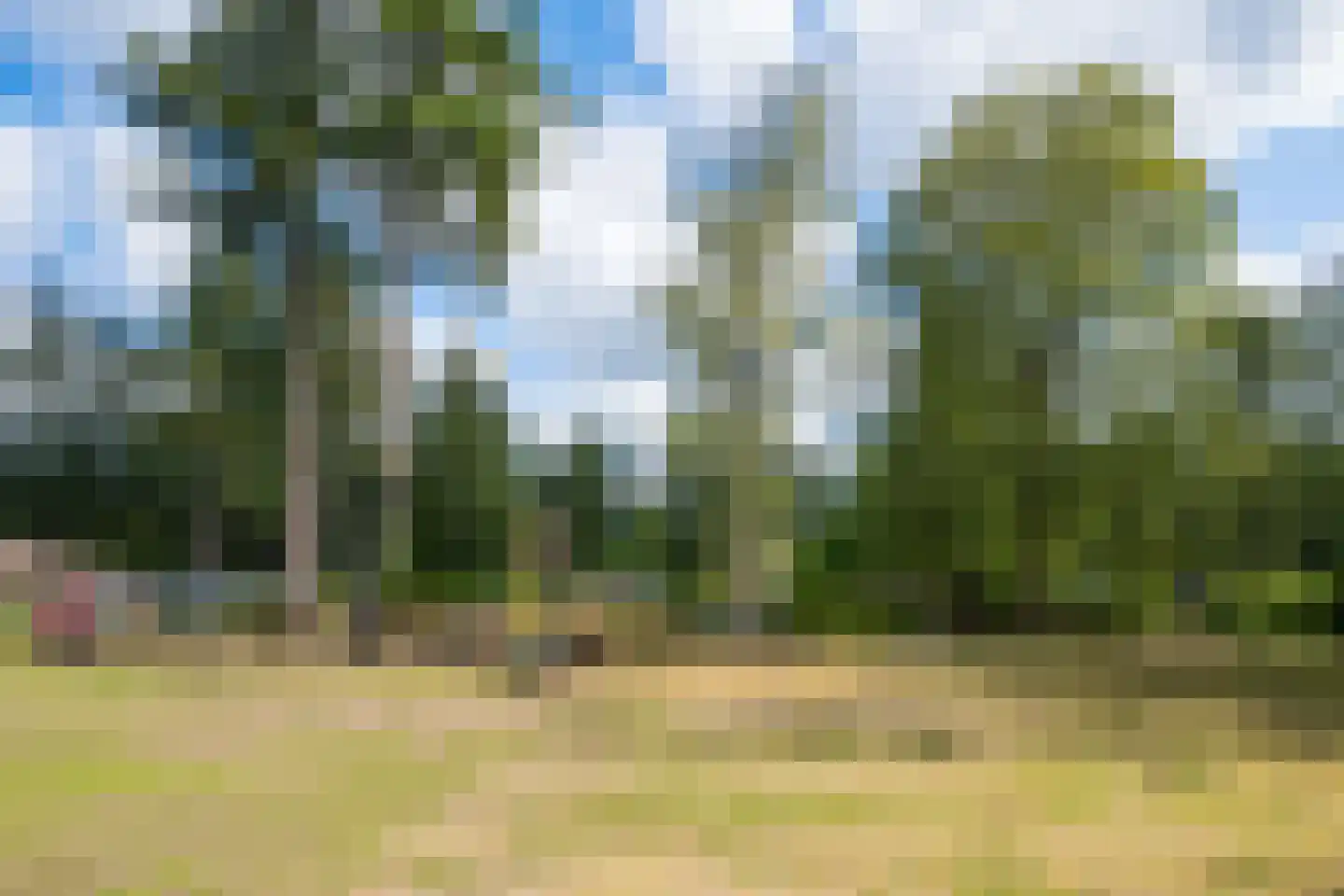 Enzerinckweg 12 295 Vorden thumbnail 34