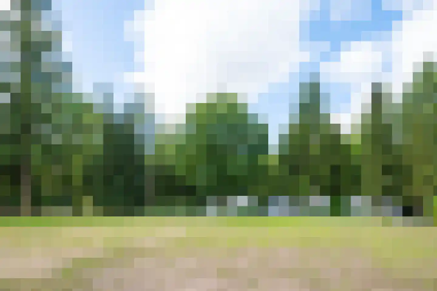 Enzerinckweg 12 295 Vorden thumbnail 35