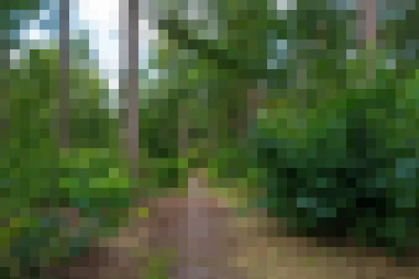 Enzerinckweg 12 295 Vorden thumbnail 38