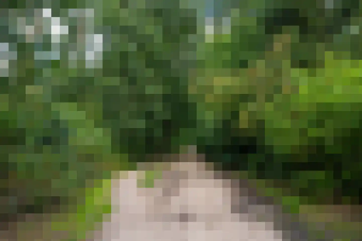 Enzerinckweg 12 295 Vorden thumbnail 39
