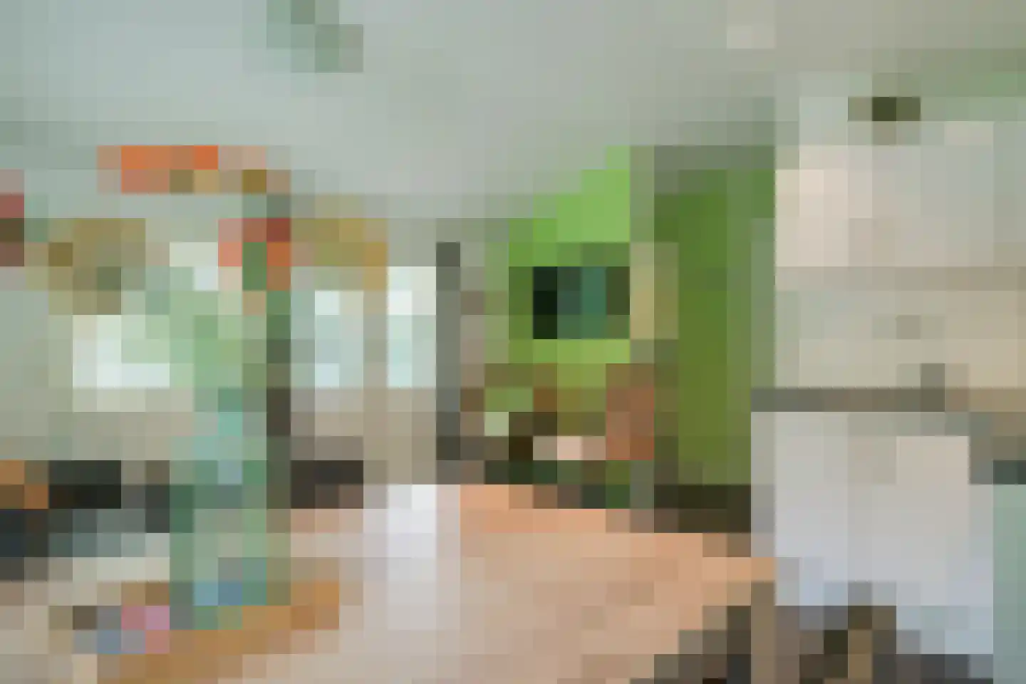 Enzerinckweg 12 295 Vorden thumbnail 8