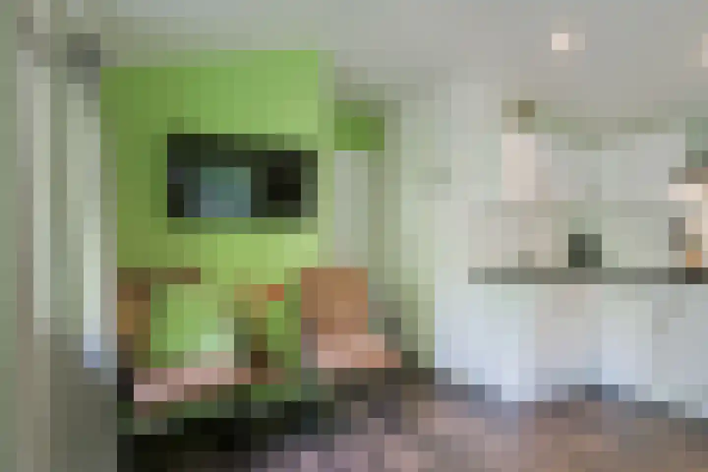 Enzerinckweg 12 295 Vorden thumbnail 9