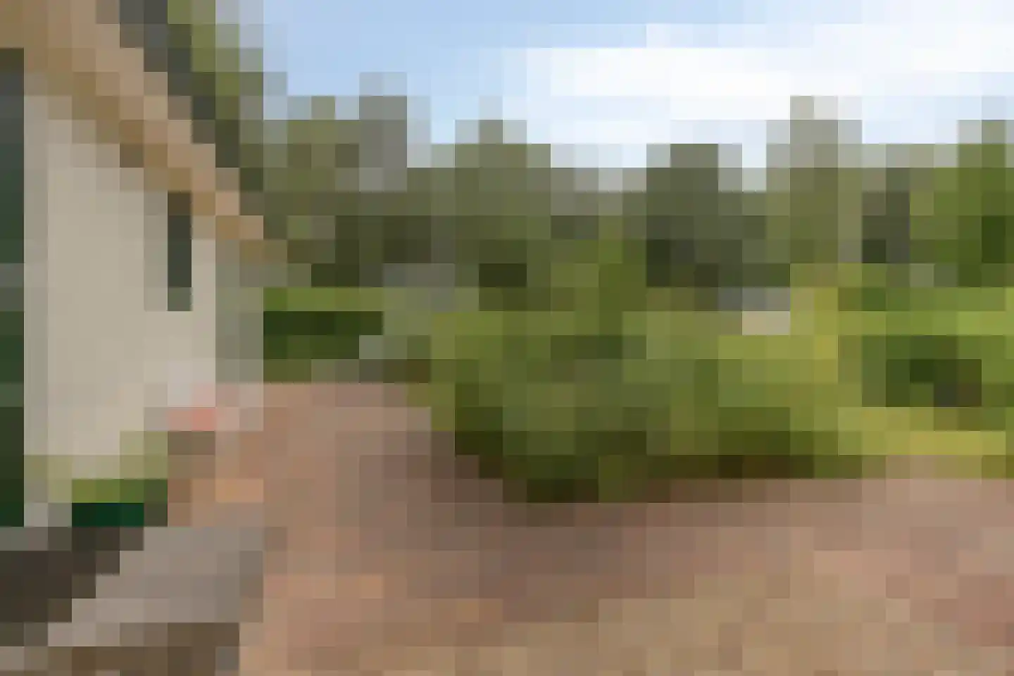Enzerinckweg 12 a Vorden thumbnail 21