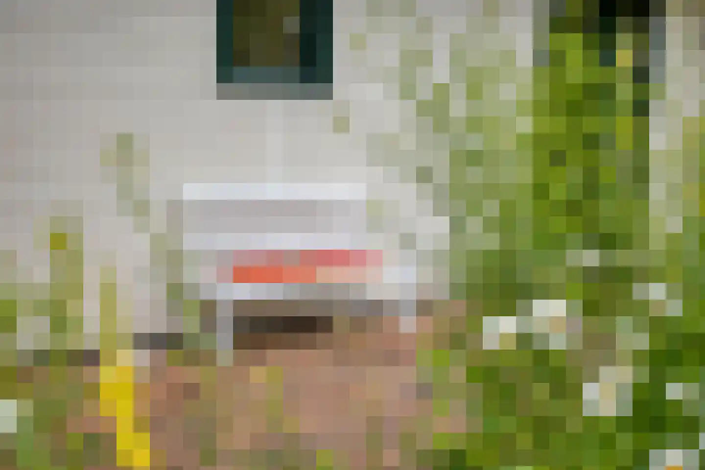 Enzerinckweg 12 a Vorden thumbnail 22