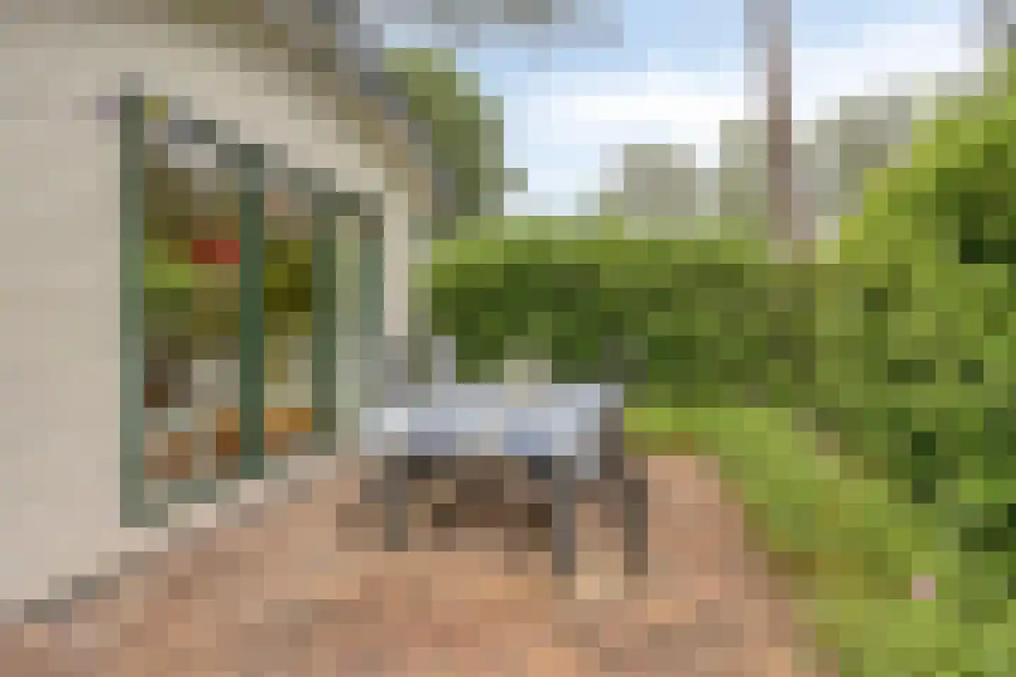 Enzerinckweg 12 a Vorden thumbnail 25