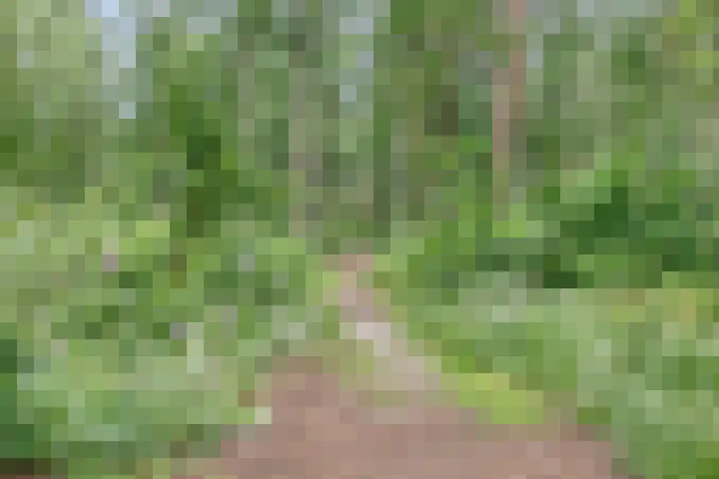 Enzerinckweg 12 a Vorden thumbnail 35