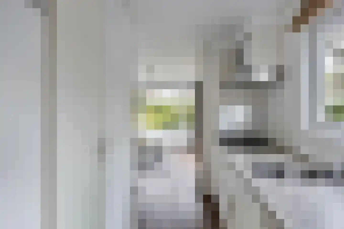 Enzerinckweg 12 Vorden thumbnail 10