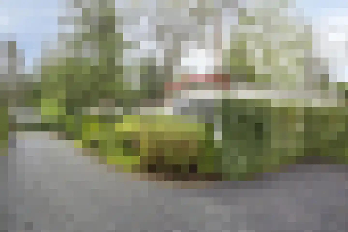 Enzerinckweg 12 Vorden thumbnail 24