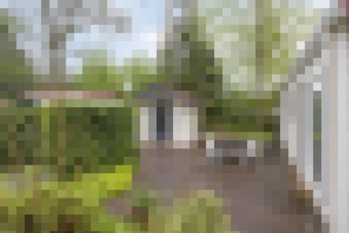 Enzerinckweg 12 Vorden thumbnail 25