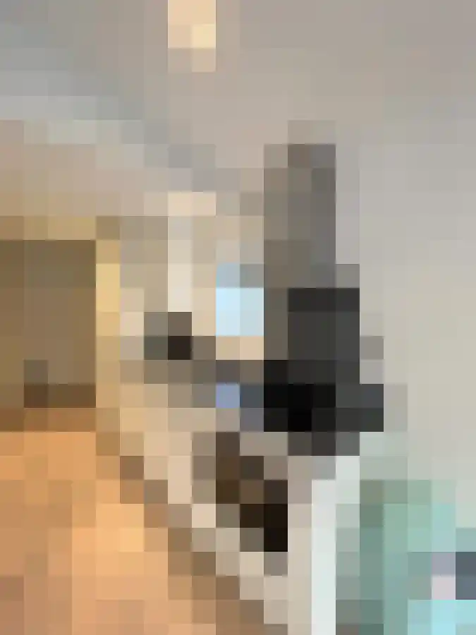 Enzerinckweg 12 Vorden thumbnail 6